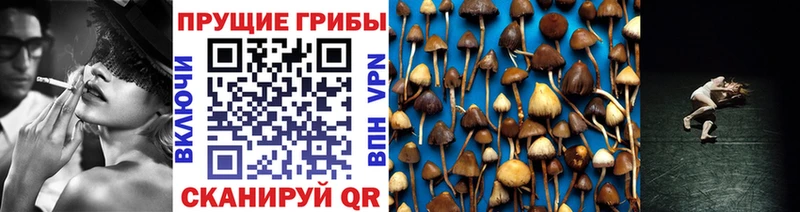 мега зеркало  Ермолино  Псилоцибиновые грибы прущие грибы 
